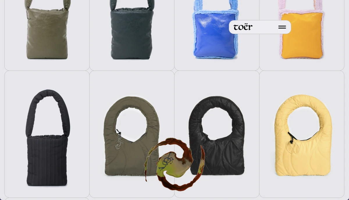 Screenshot of toer.world